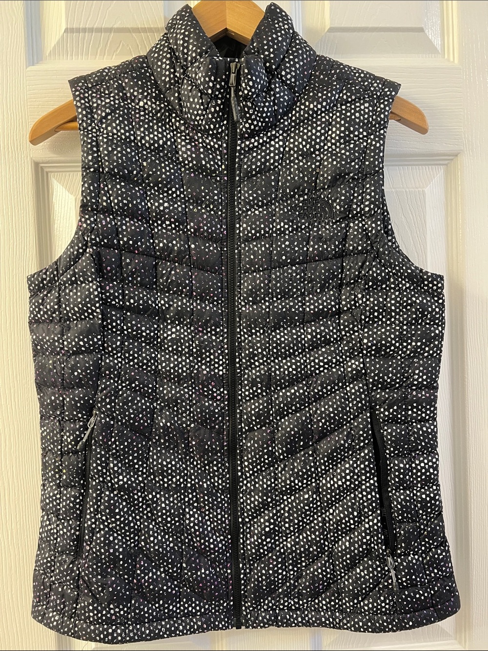 The North Face Vest